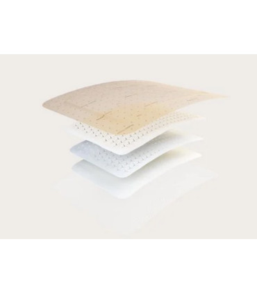 Pansement MEPILEX BORDER FLEX Molnlycke plusieurs tailles