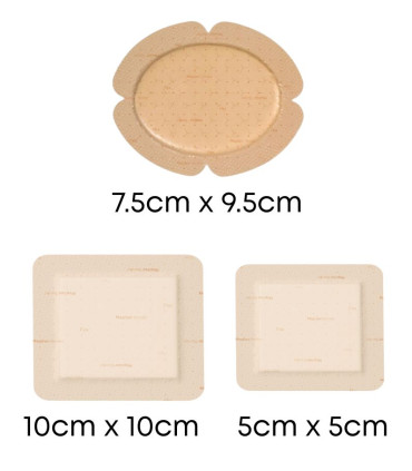 Pansement MEPILEX BORDER FLEX Molnlycke plusieurs tailles