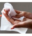 Lingettes nettoyantes WIP'ANIOS Excel Biodégradables - Sachet de 100